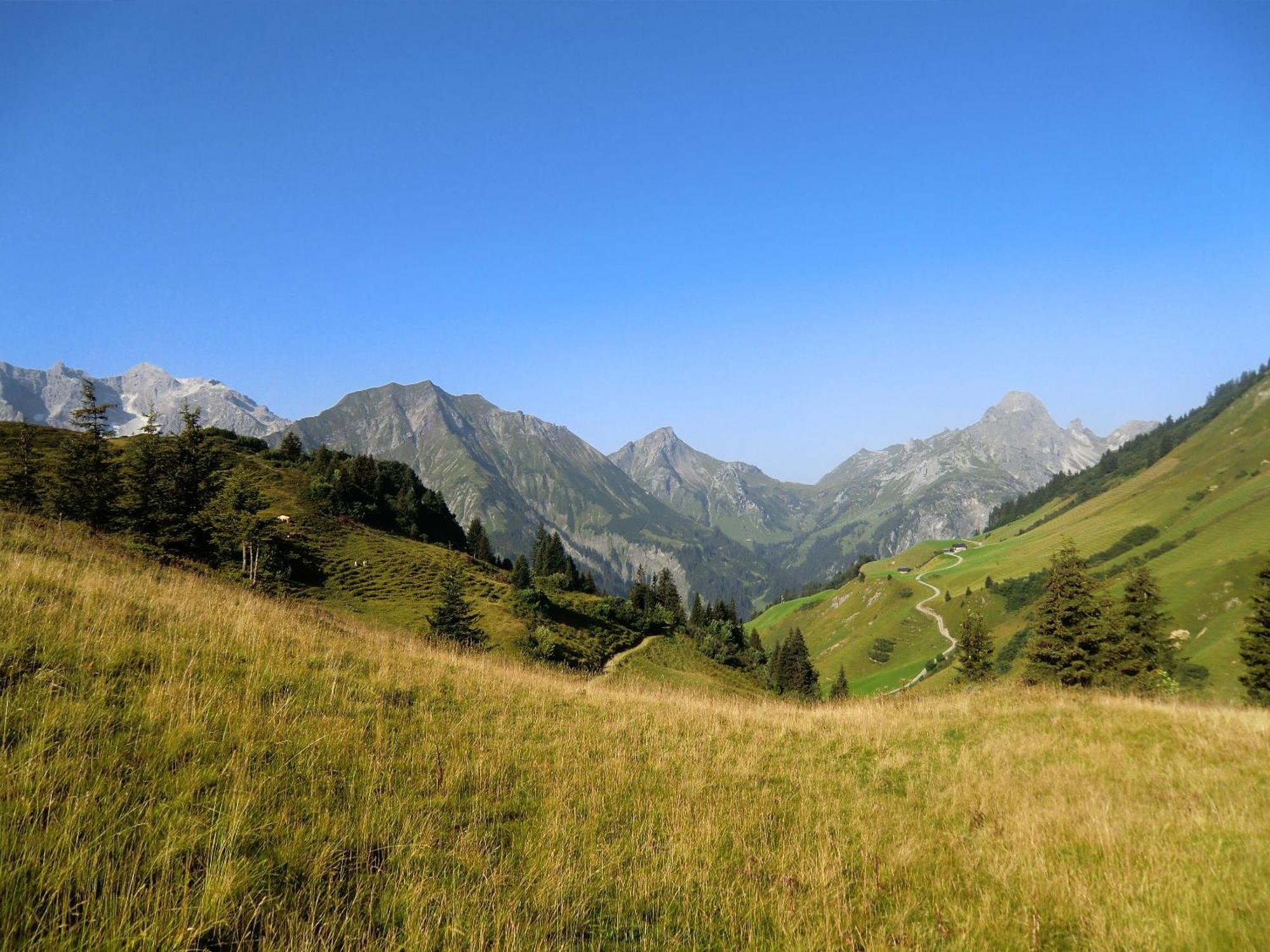 Apartamento Haus Rothorn Schröcken Exterior foto